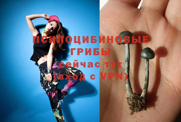 гидра Мегион
