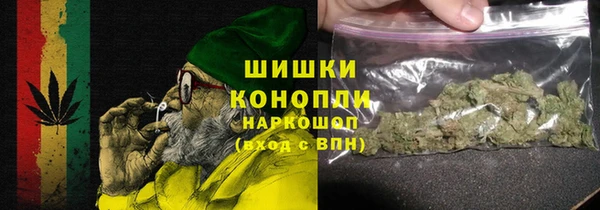 гидра Мегион