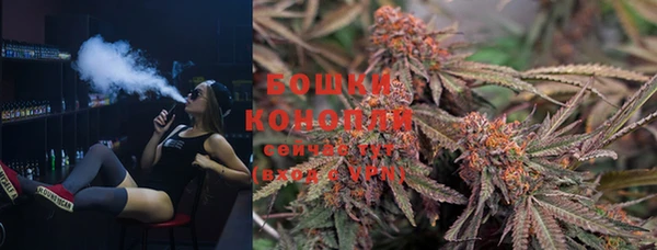 гидра Мегион