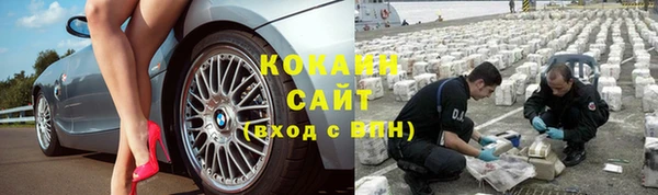 гидра Мегион