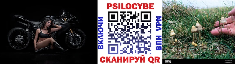 Купить где  Алупка  Галлюциногенные грибы ЛСД 